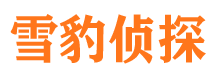 卫东市侦探公司